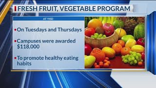 Ysleta ISD kicks off fresh fruit, veggie program at 4 schools