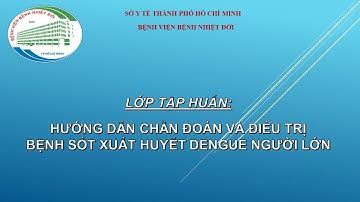 Tập huấn: Hướng dẫn chẩn đoán và điều trị bệnh sốt xuất huyết DENGUE người lớn