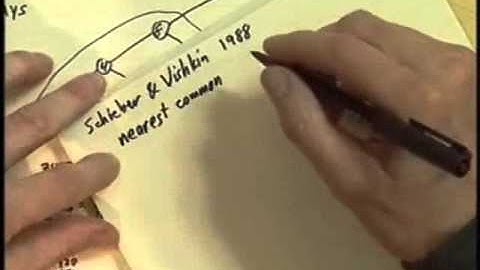 Stanford Lecture: Donald Knuth - "Sideways Heaps" (2007)