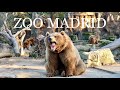 [4K] ZOO AQUARIUM MADRID