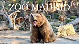 [4K] ZOO AQUARIUM MADRID