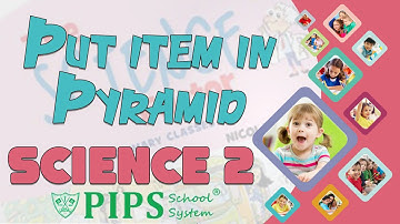 Grade 2 Science Put the item in pyramid according to their importance in our diet by PIPS School