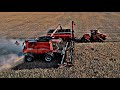 EPIC Drone Footage during CANOLA Harvest!