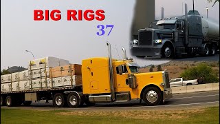 PETERBILT, KENWORTH, INTERNATIONAL, WESTERN STAR &amp; VOLVO BIG RIGS HAULIN&#39; FREIGHT / BIG RIGS #37