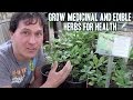 Grow Medicinal and Edible Herbs in Your Garden