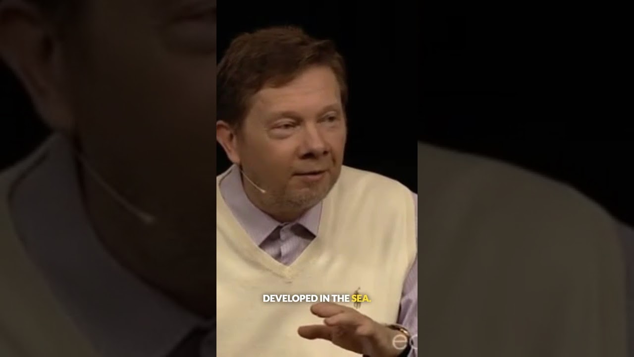 Beyond Thinking: Humanity's Next Evolutionary Leap