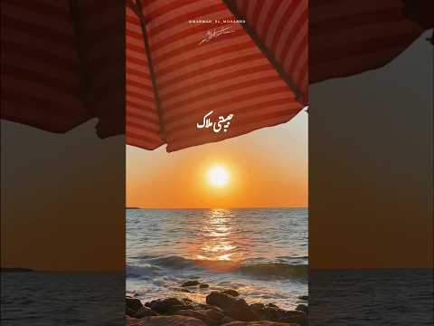 حبيبتي ملاك الهضبة  عمرودياب الهضبه الهضبة عمرو دياب عمرو دياب   حالات واتس