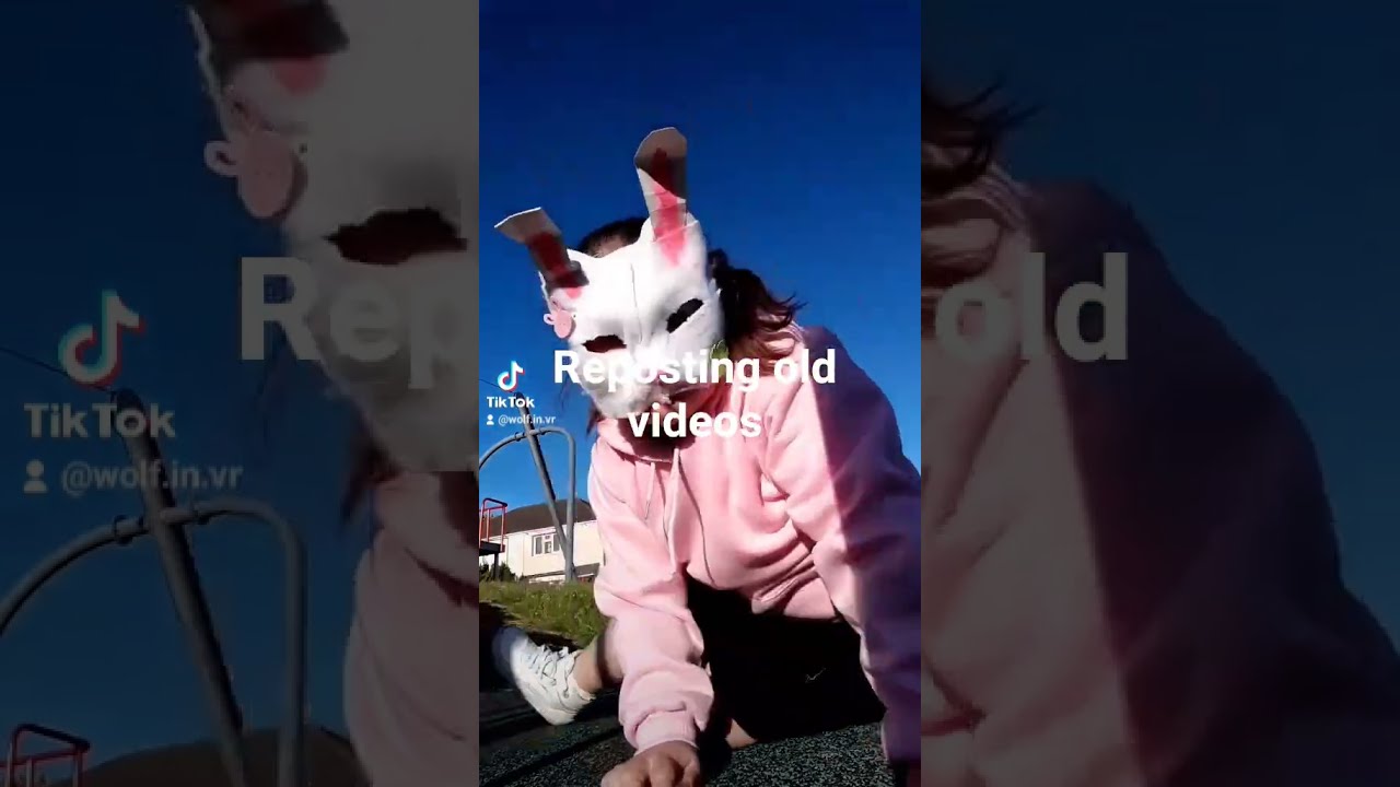 Lol Furry Cat Helpmemakethismakesense Therian