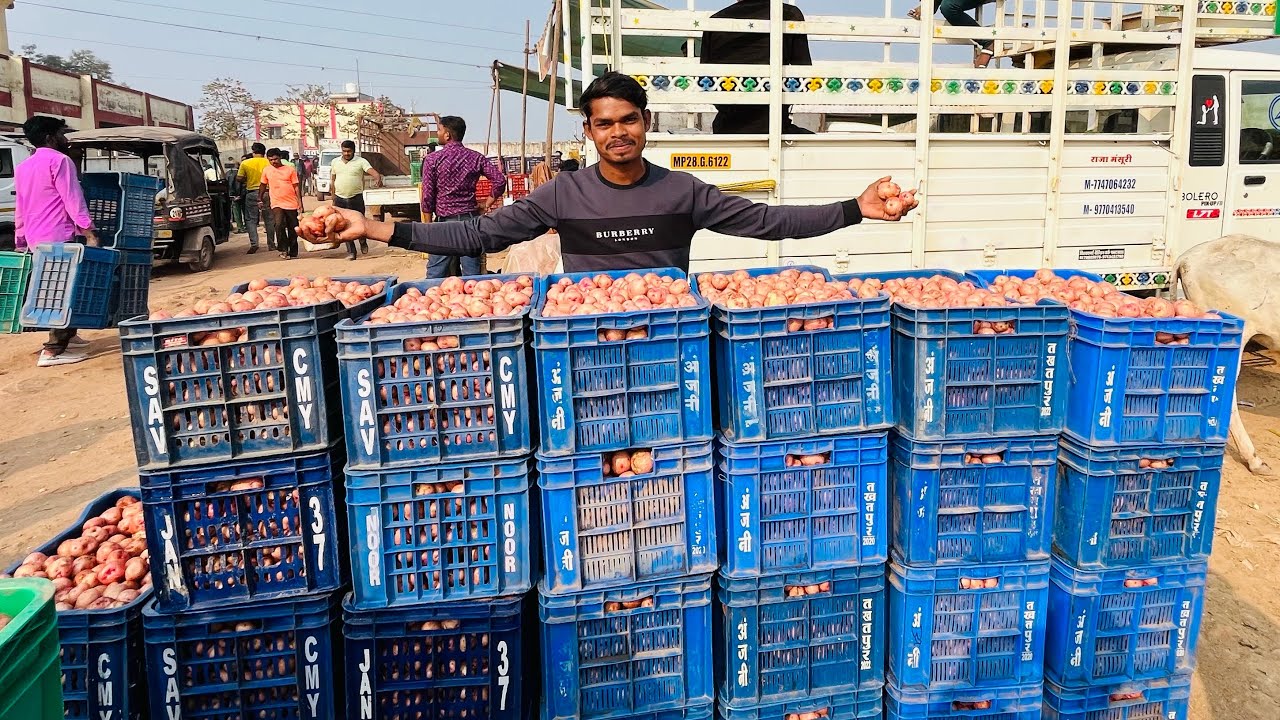 First Time Selling *3000Kg* Potato's At Wholesale Vegetable Market - How Much Profit After Sell?