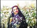 شهرزاد ألفين سلامات فيلم زينب عام ١٩٥٢ حالتي