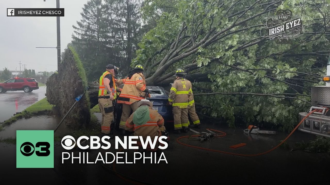 Tesla driver rescued after tree falls on vehicle during heavy storms ...