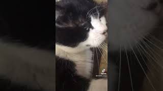 Bu Saatte Ki̇m Kalkacak