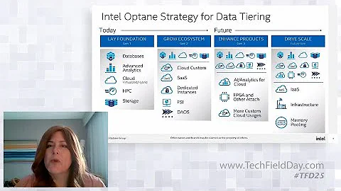 Driving Data Tiering Innovation with Intel Optane and CXL