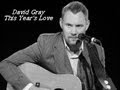 David Gray   This Years Love