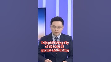 Triệt phá đường dây cá độ bóng đá quy mô 4.500 tỉ đồng #tinnong24h