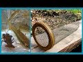 Troubleshooting & making a minnow trap