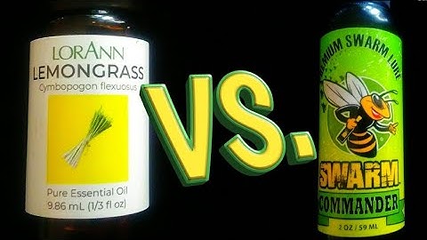 Swarm Commander VS. Lemongrass Oil Experiment 🐝 #swarms #honeybees #beekeeping