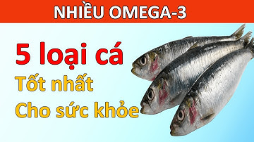 5 loại cá tốt nhất để ăn và 2 loại tệ nhất cần tránh xa