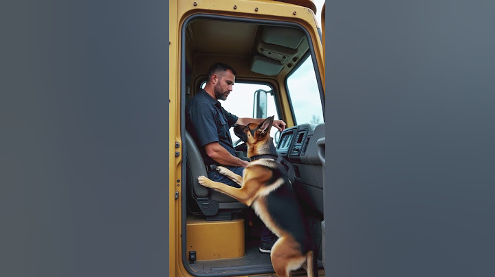 Baby Fell In Cement Hole And Dog Rescued Him!
