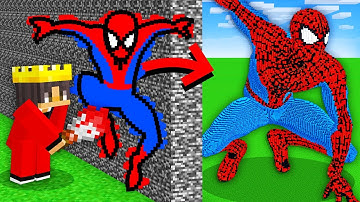 I Cheated with a BUILD BRUSH in Minecraft Build Battle!