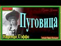 Пуговица ,Надежда Тэффи ,Сатира , читает Павел Беседин