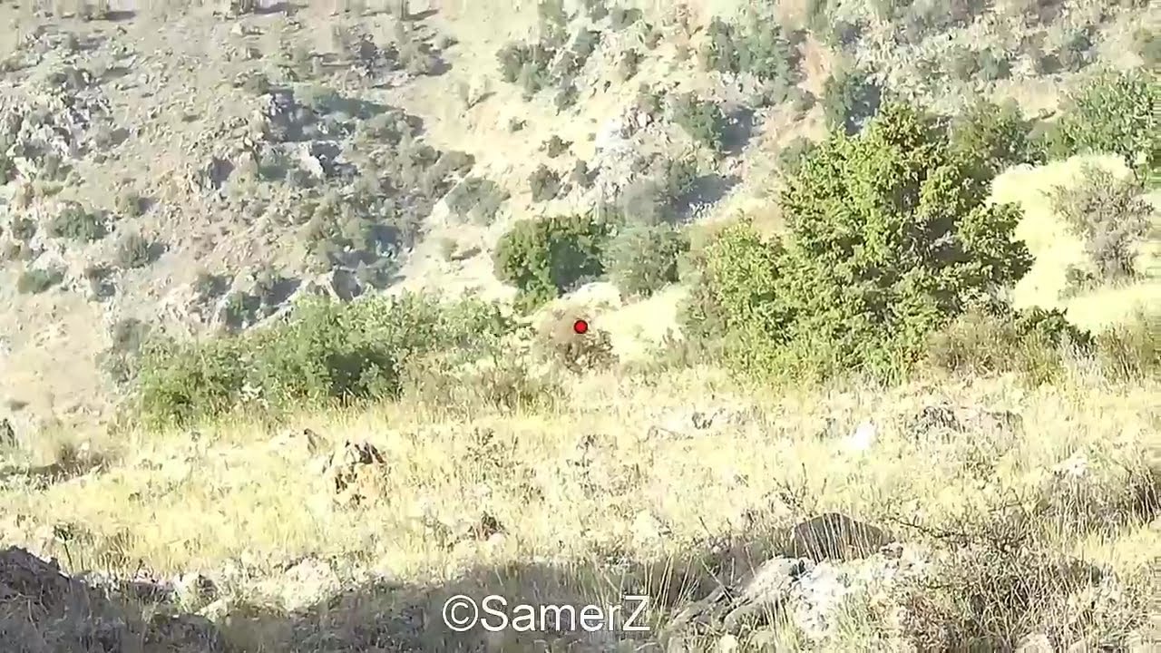 hunting partridges in Lebanon (shotkam and gopro) YouTube