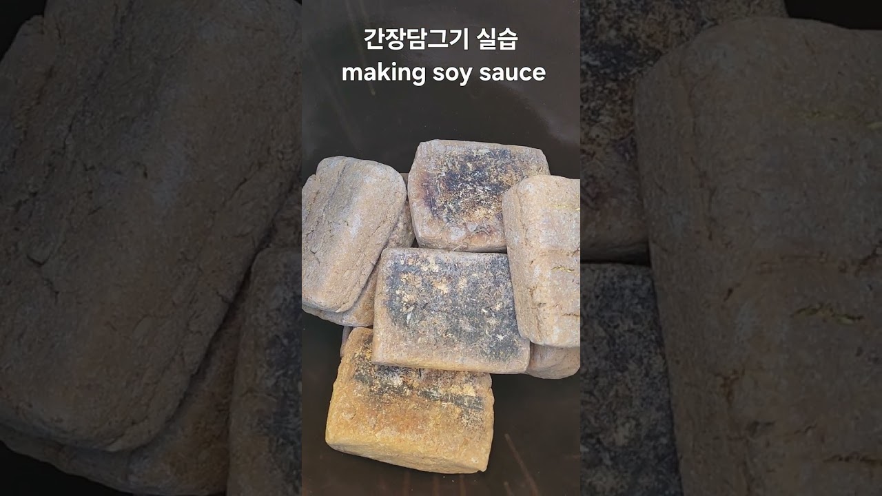 간장담그기체험 making soy sauce 2026.2.25