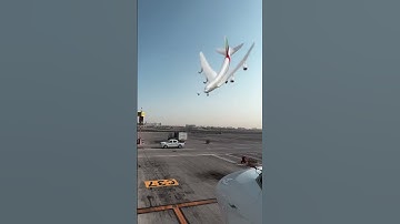 Flappy Bird 🕊️ Emirates A380 Edition 😂