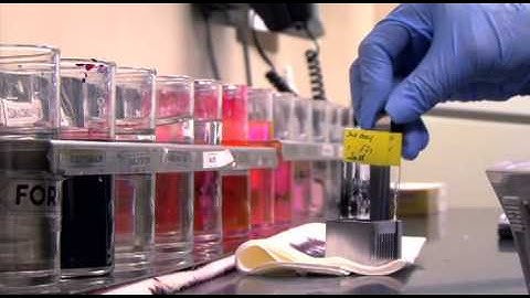 Lake Norman Pathology: Frozen Sections