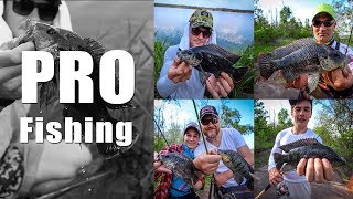 Fishing with professionals - Fishing for African Tilapia (day1)