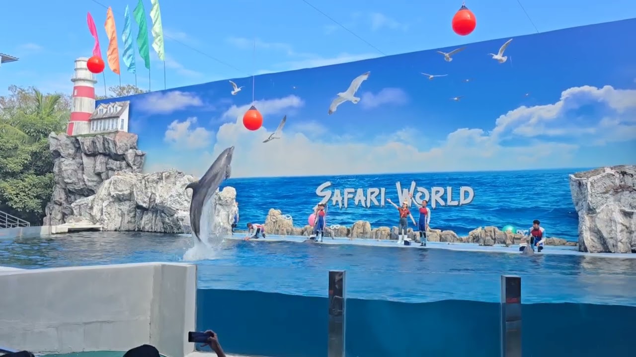 🐬 থাইল্যান্ড ডলফিন শো 🌊দেখুন ডলফিনদের অবিশ্বাস্য কৌশল আর মজা! 😍সাবস্ক্রাইব করতে ভুলবেন না 👇