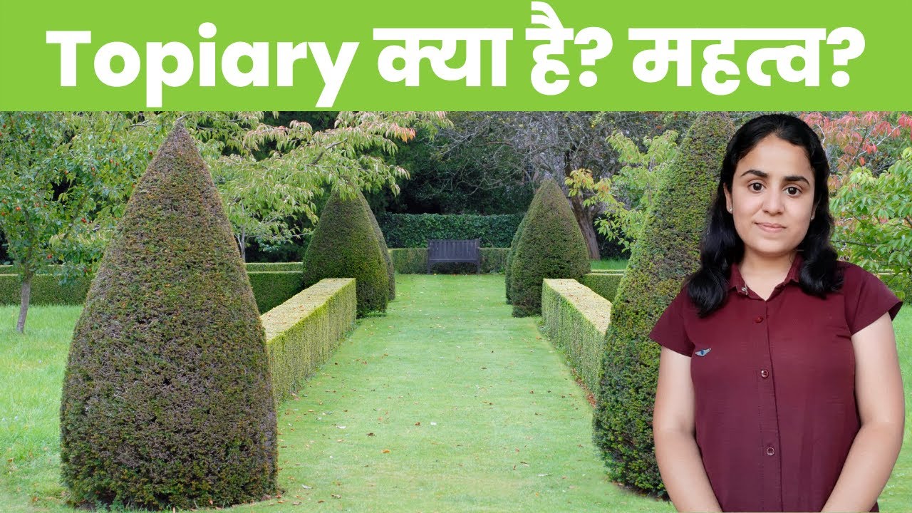 What is Topiary | Suitable Plants, Significance |