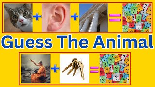 Animal Challenge  How Many Can You Get Right