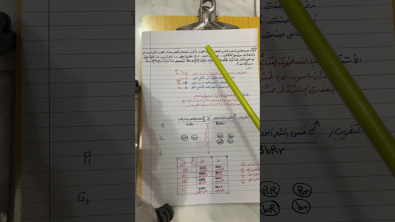 امثلة وزارية مهمة جدا لقانون مندل الثاني للأستاذ معتز عصام الجبوري 2020