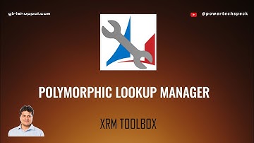 Polymorphic Lookup Manager - XRM toolbox tool / plugin