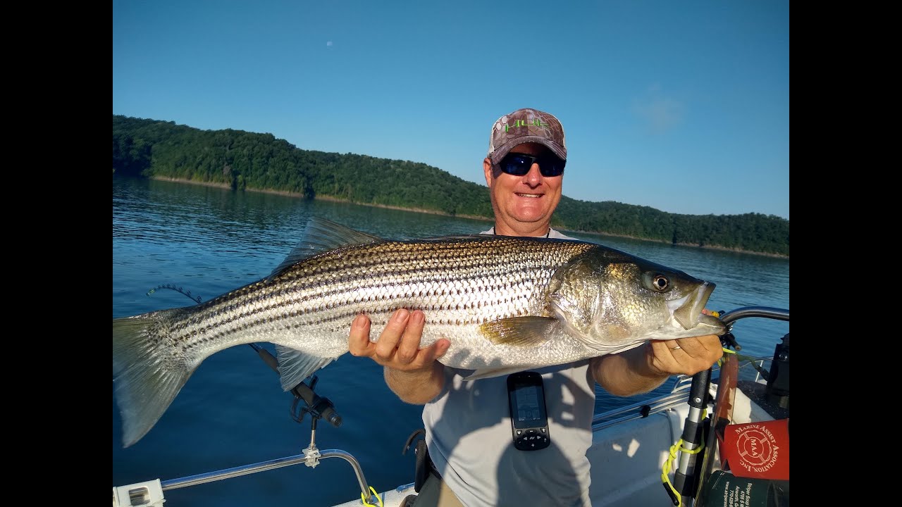 How to Use Your Thump'em Up Fishing Thumper for sandbass, striped bass and  hybrids different ways! 