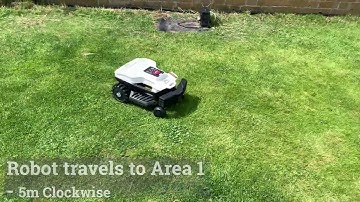 Ambrogio Twenty Elite Does A Border Clean