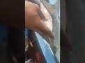 مياس مياس