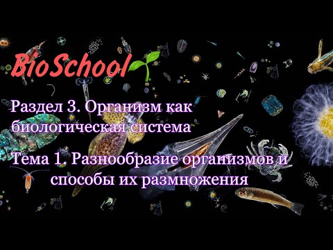 ЕГЭ ПО БИОЛОГИИ. Раздел 3. Тема 1. Разнообразие организмов и способы их размножения