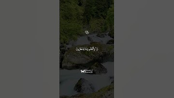سورة القلم #اسلام_صبحي #قرآن #قران_كريم #quran #اكسبلور #لايك #راحة_نفسية