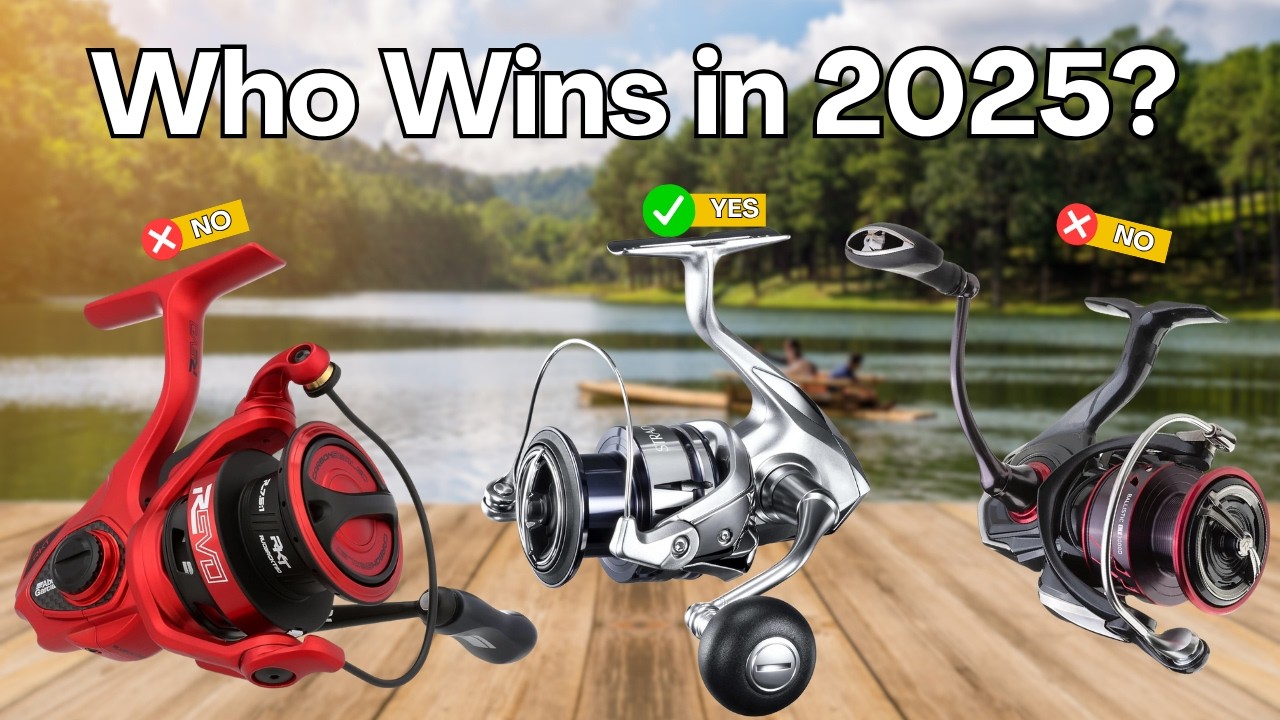 Best Spinning Reels 2025 [Watch This Before You Make a Choice!]