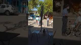 Realicó, La Pampa Siguen Los Conflictos Con Un Hombre Que Se Moviliza En Silla De Ruedas.