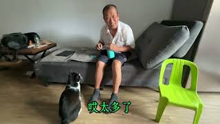 分享大陸爸妈和媒婆煤球的快乐时光！