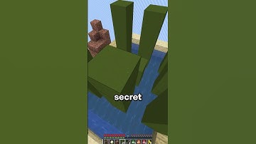 Players Doubted This Secret On This New Minecraft Server! (Java and Bedrock) #minecraftserver