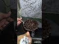pinata cake unique design pinata cake easy decoration ideas #shortsfeed #shorts #viral #pinata