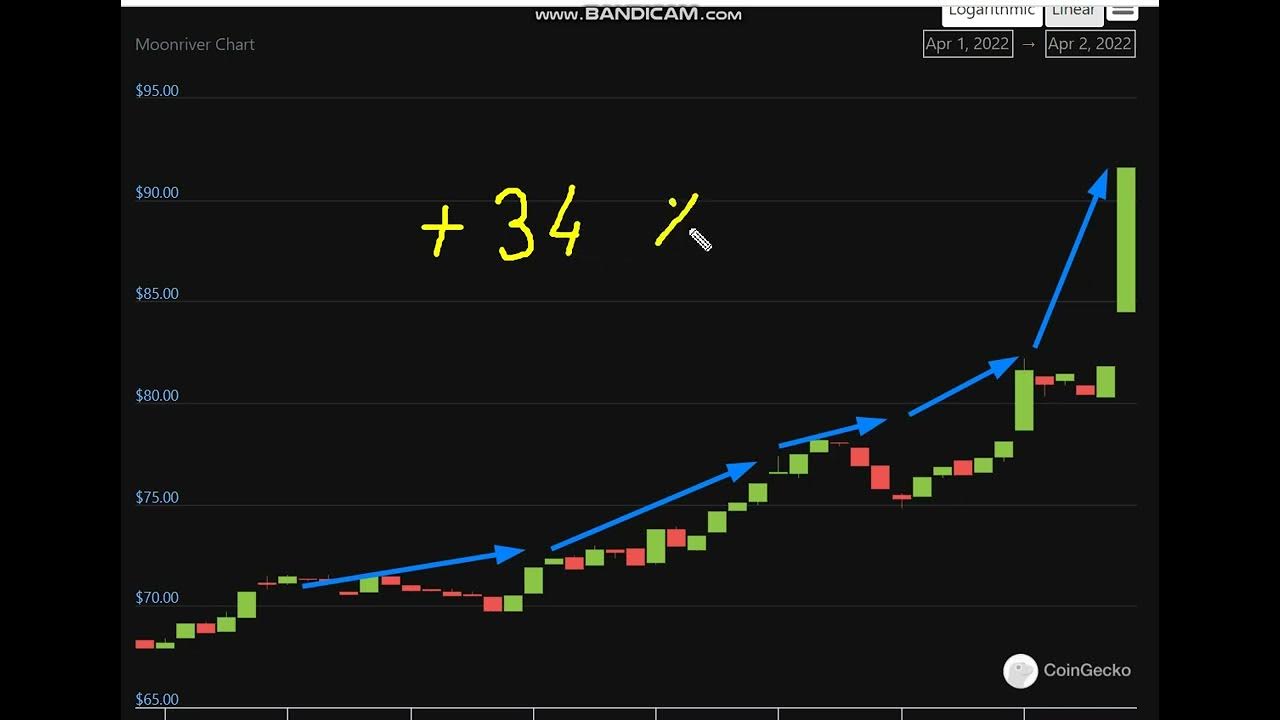 Криптовалюта мем. Экосистема полкадот. Гип в криптовалютном рынке. Криптомонета movr прогноз. Криптомонета movr прогноз.