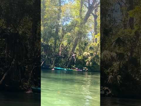 Kayaking Down the