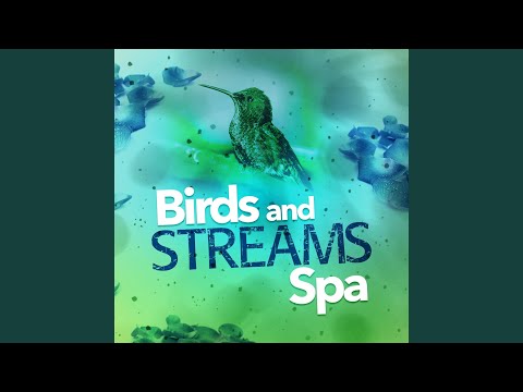 Nature Spa - Runnel Flows