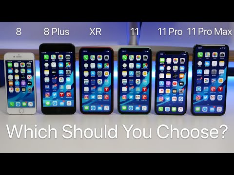 Which