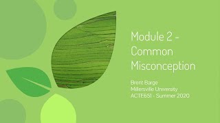 Module 2 Screencast